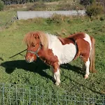 بيت للعطل Casinha Da Deolinda