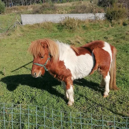 Nyaraló Casinha Da Deolinda