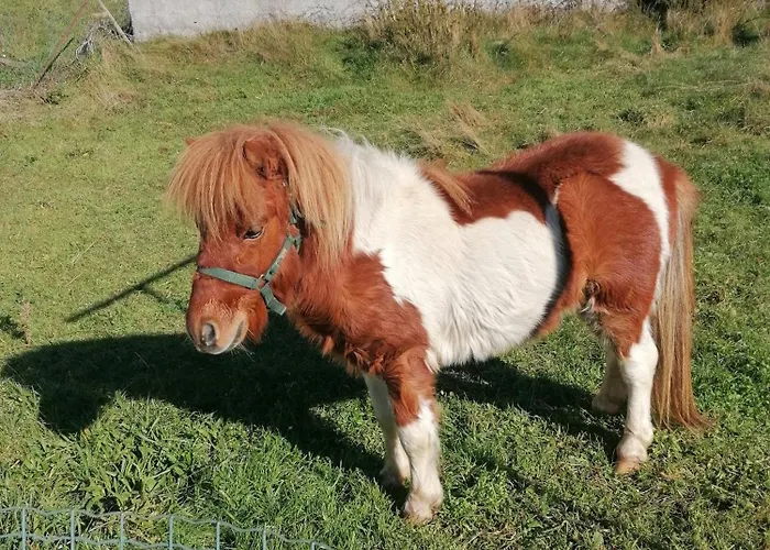 別荘 Casinha Da Deolinda